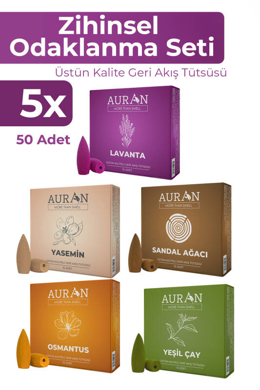 Zihinsel Odaklanma 5X Geri Akış Tütsüsü Seti Konik Tütsü Backflow Incense Cones 5x10 Adet - 2