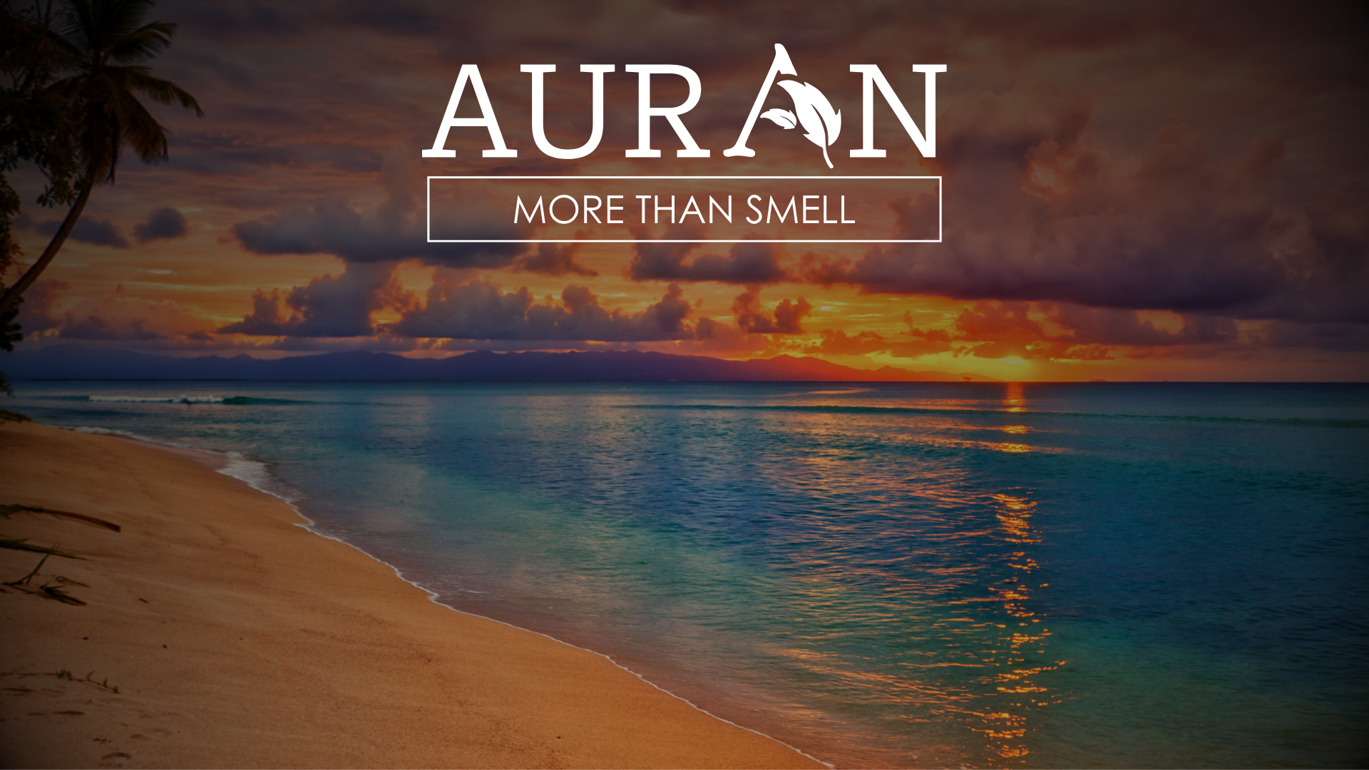 Okyanusun Kendine Has Kokusu Nasıl ve Neden Oluşur?