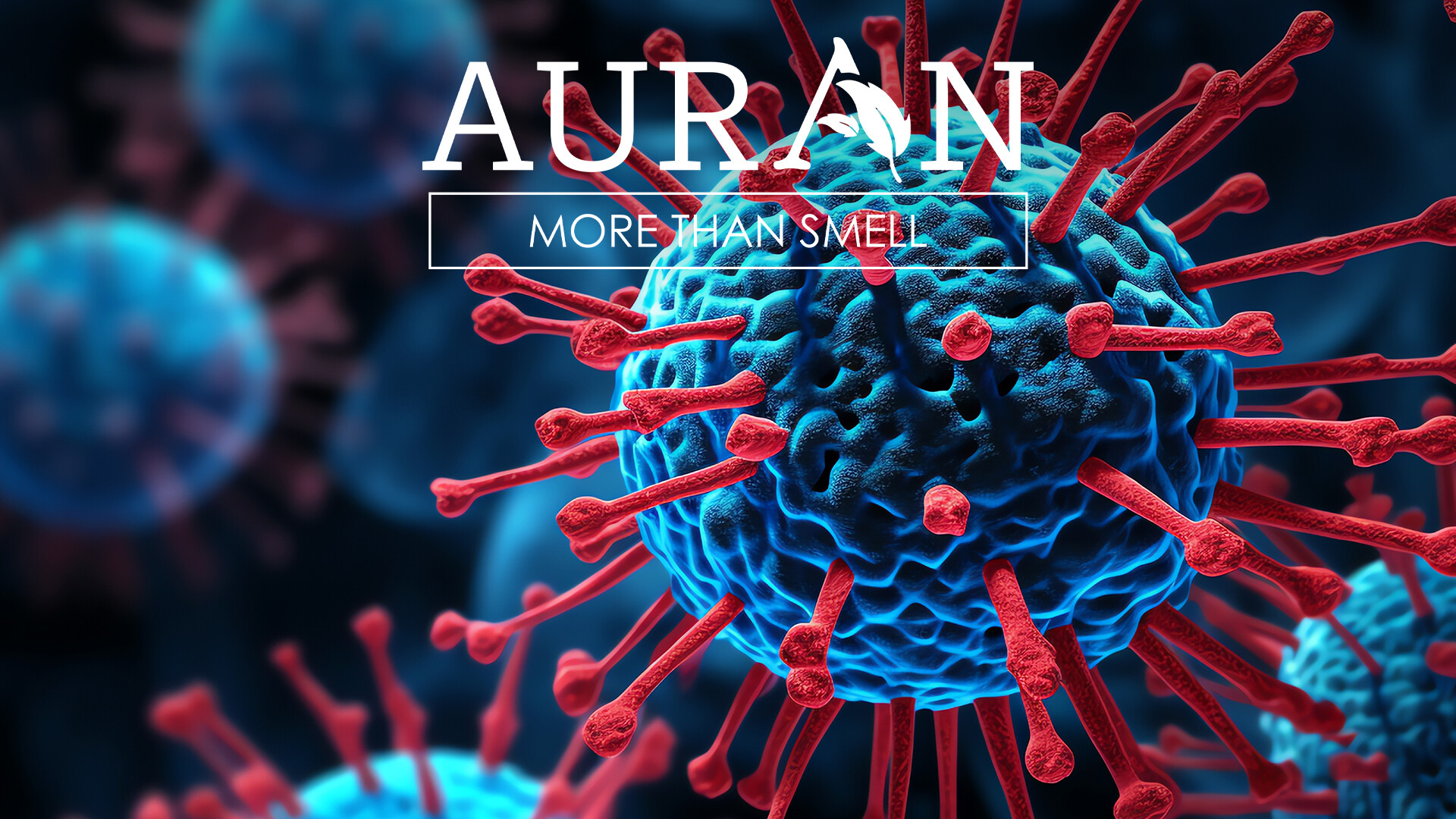 Maymun Çiçeği Virüsünden Nasıl Korunulur? Auran Kokudan Daha Fazlası