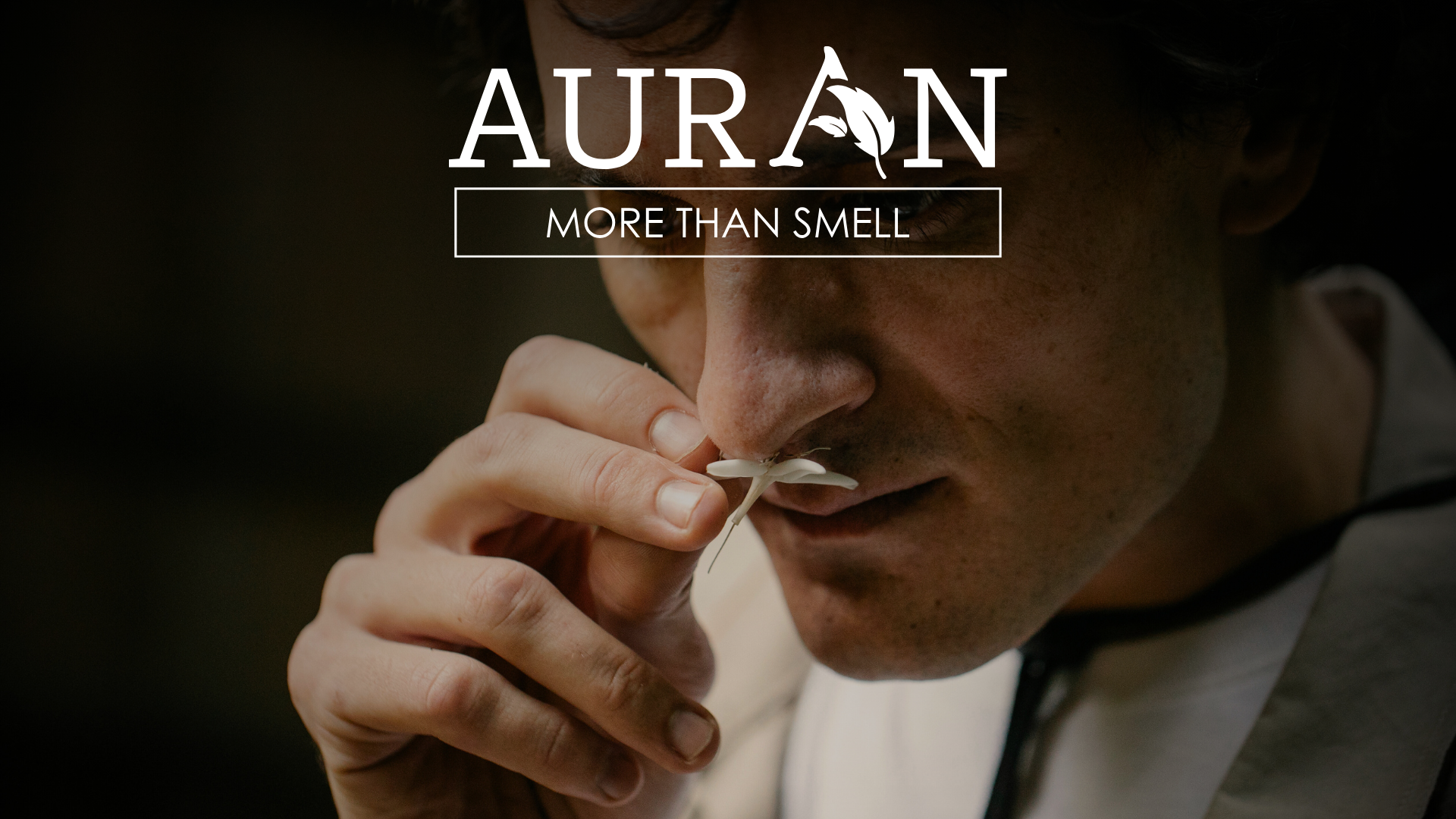 Koku Alma Duyumuz Olmasa, Dünya Nasıl Bir Yer Olurdu?