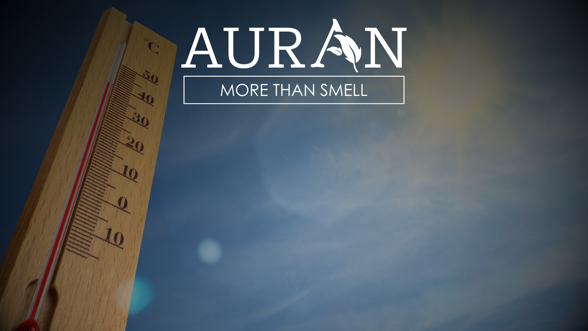 Sıcak Havalarda Koku Duyumuz Neden Daha Hassaslaşır?