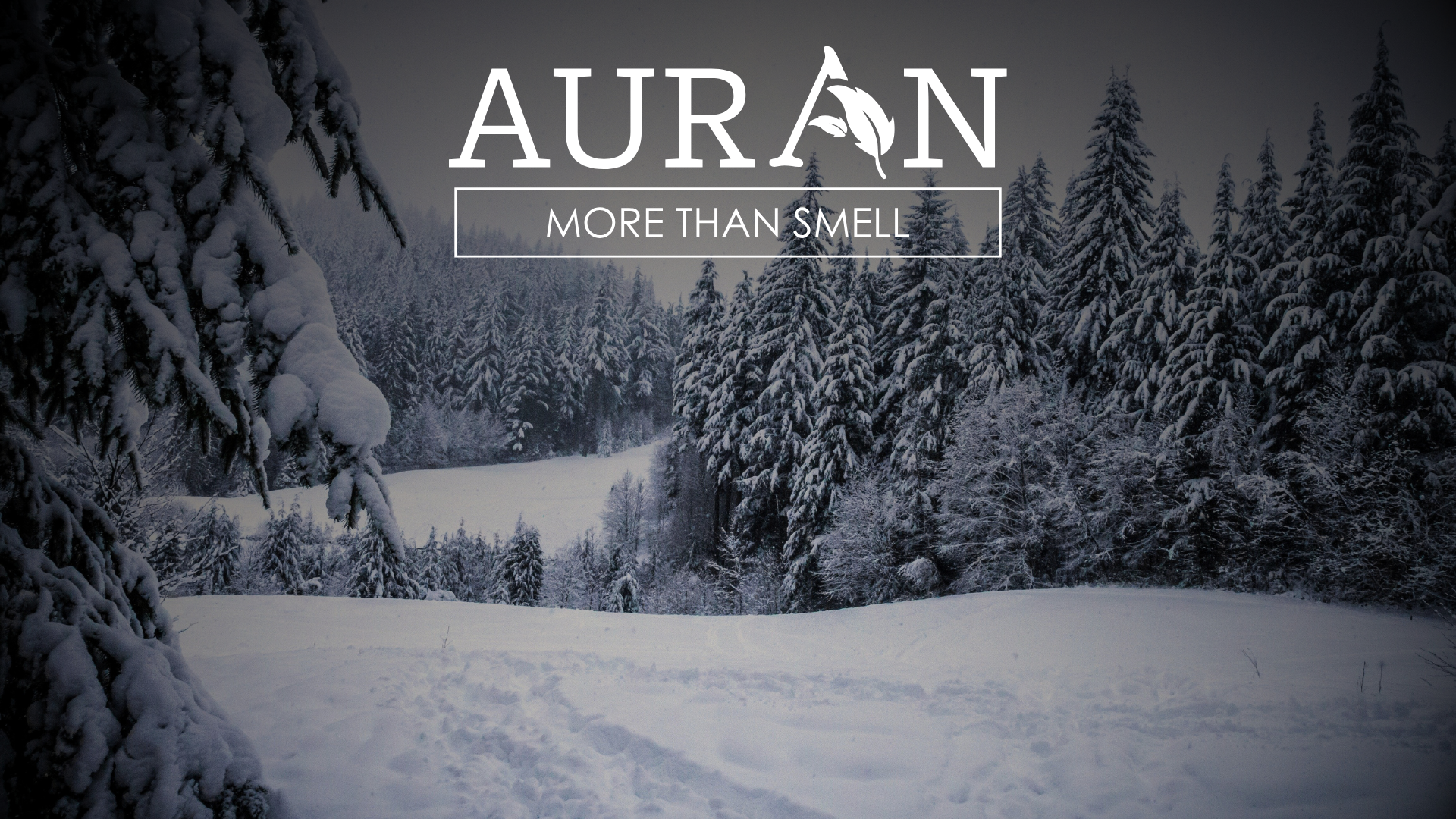 Soğuk Havalarda Koku Alma Duyumuz Neden Zayıflar?