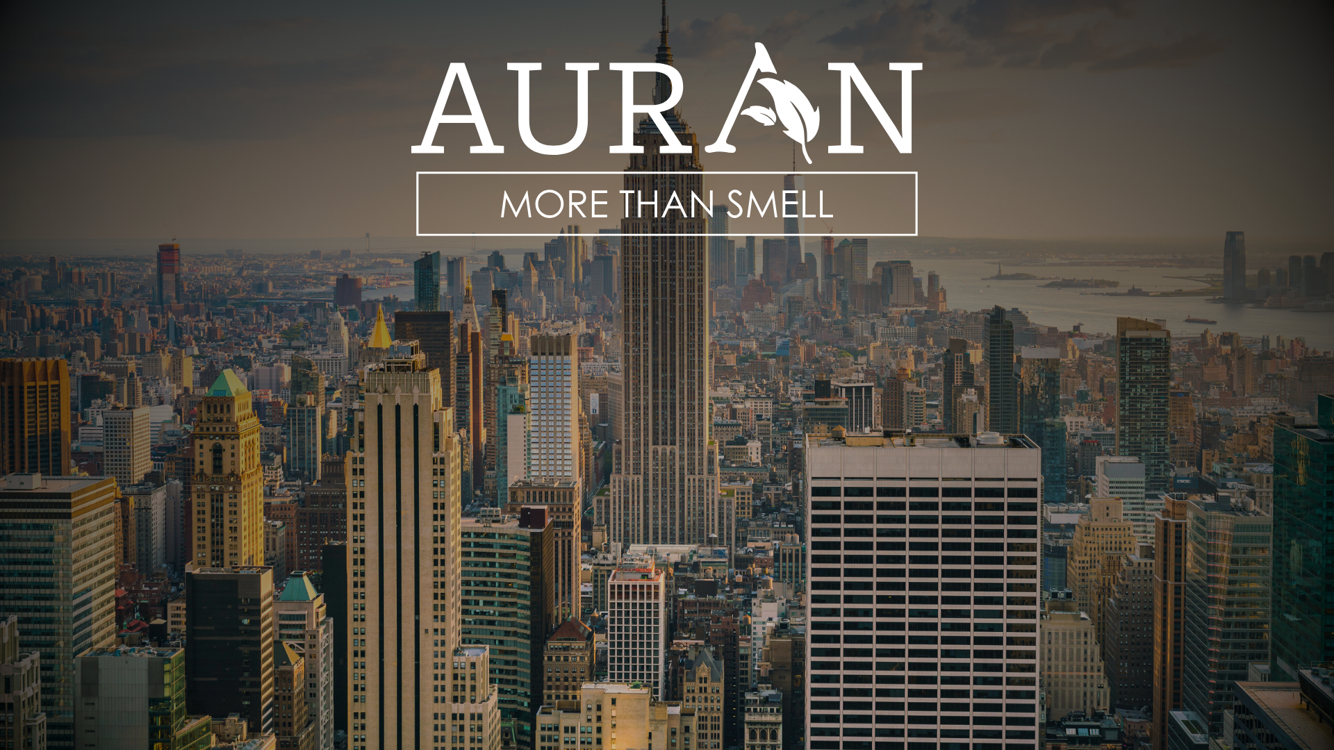 Kokunun İş Performansına Etkisi: Ofislerde Doğru Koku Seçimi