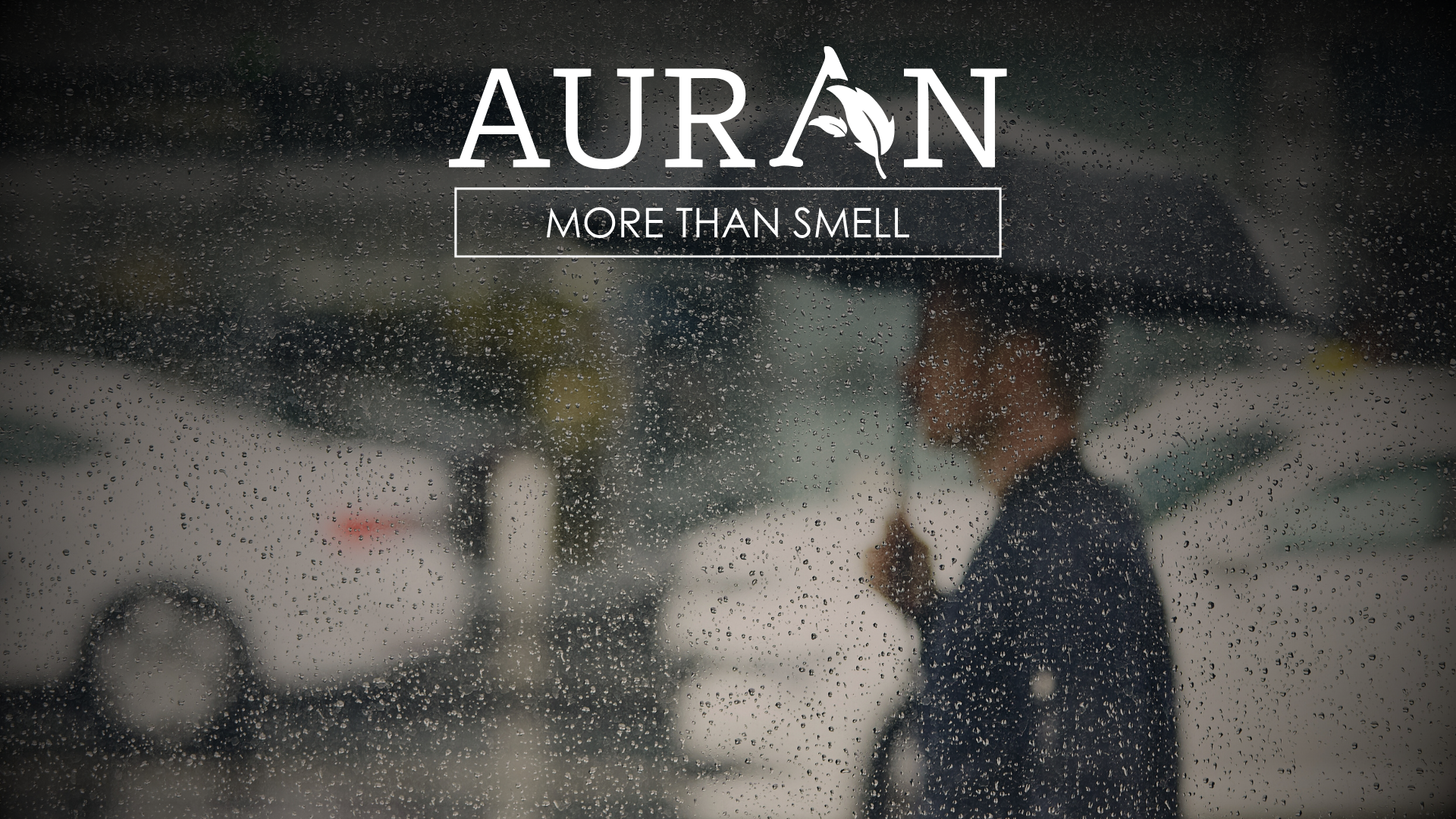 Yağmurdan Sonra Toprağın Kokusu Neden Bizi Etkiler?