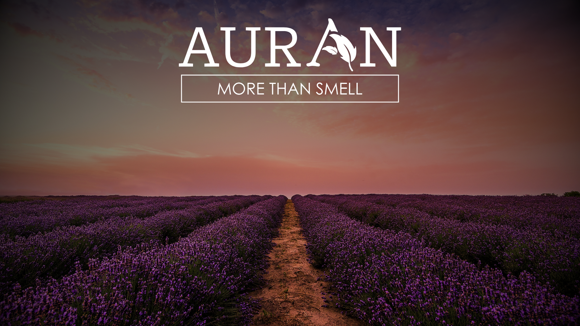 İnsanlığın Ortak Hafızasında Yer Edinen 6 Temel Koku