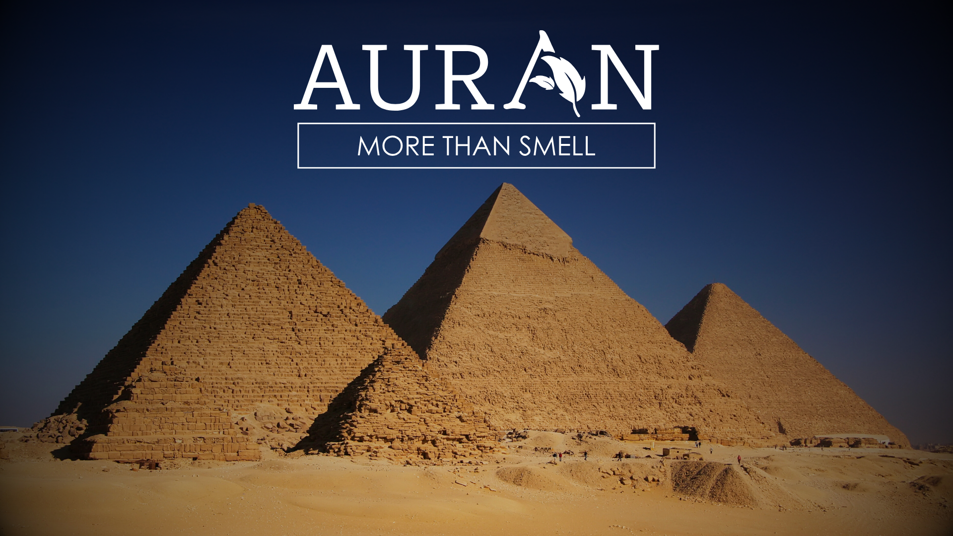 Mısır Piramitlerinde Koku Kültürü : İnanç, Statü ve Mimariye Etkisi