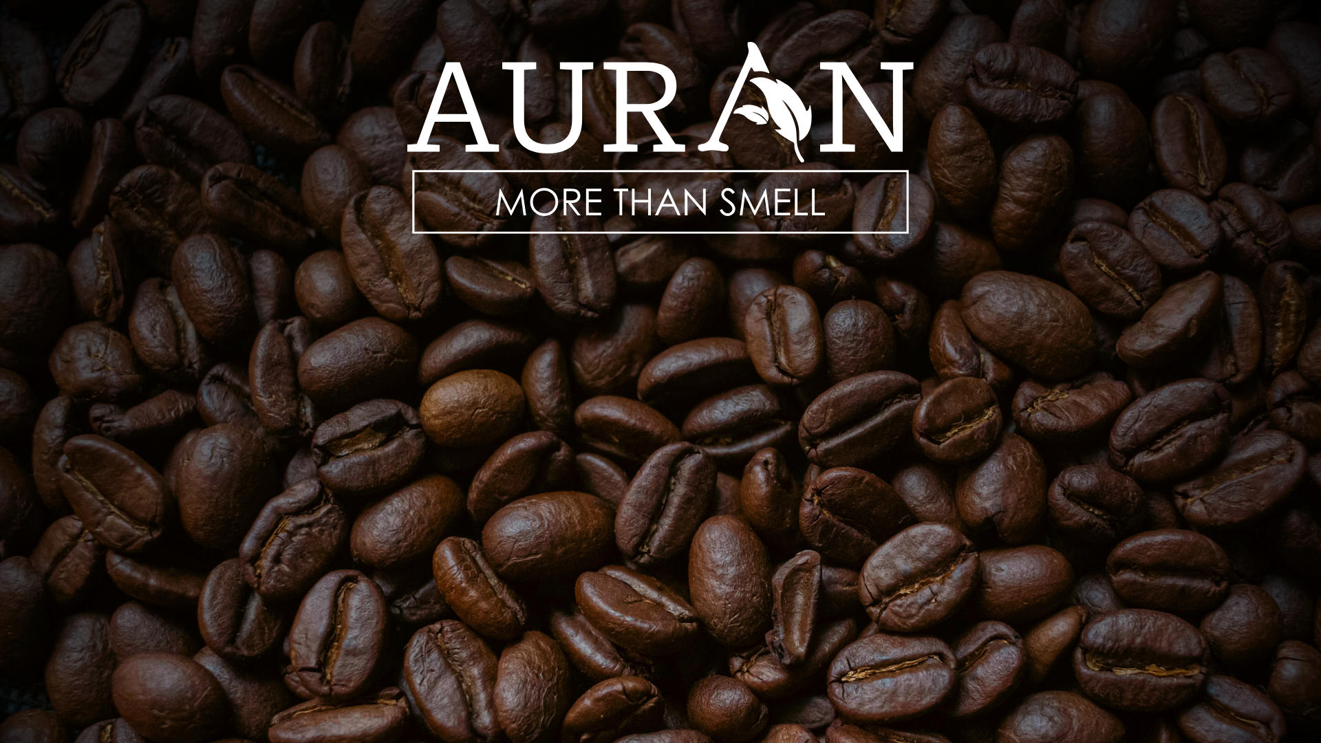 Kahve Kokusu Gerçekten Motivasyonu Artırır mı?