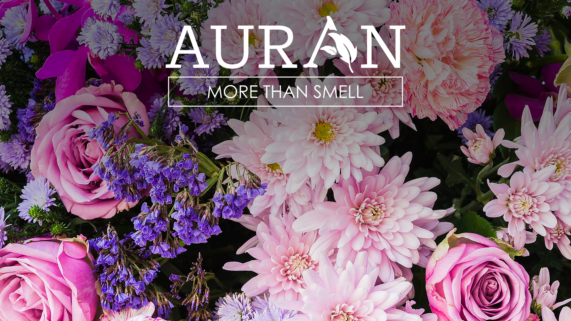 Koku Hafızası Nedir?