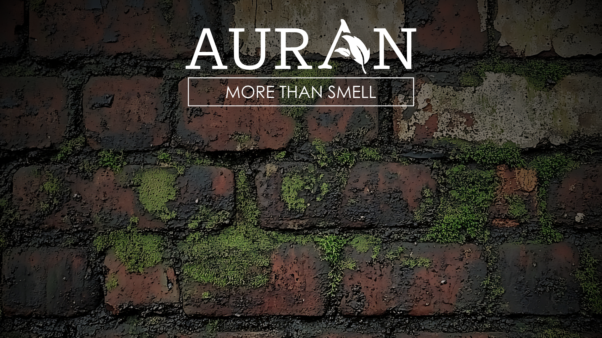 Evlerdeki Bu Keskin ve Islak Kokuya Ne Sebep Olur?