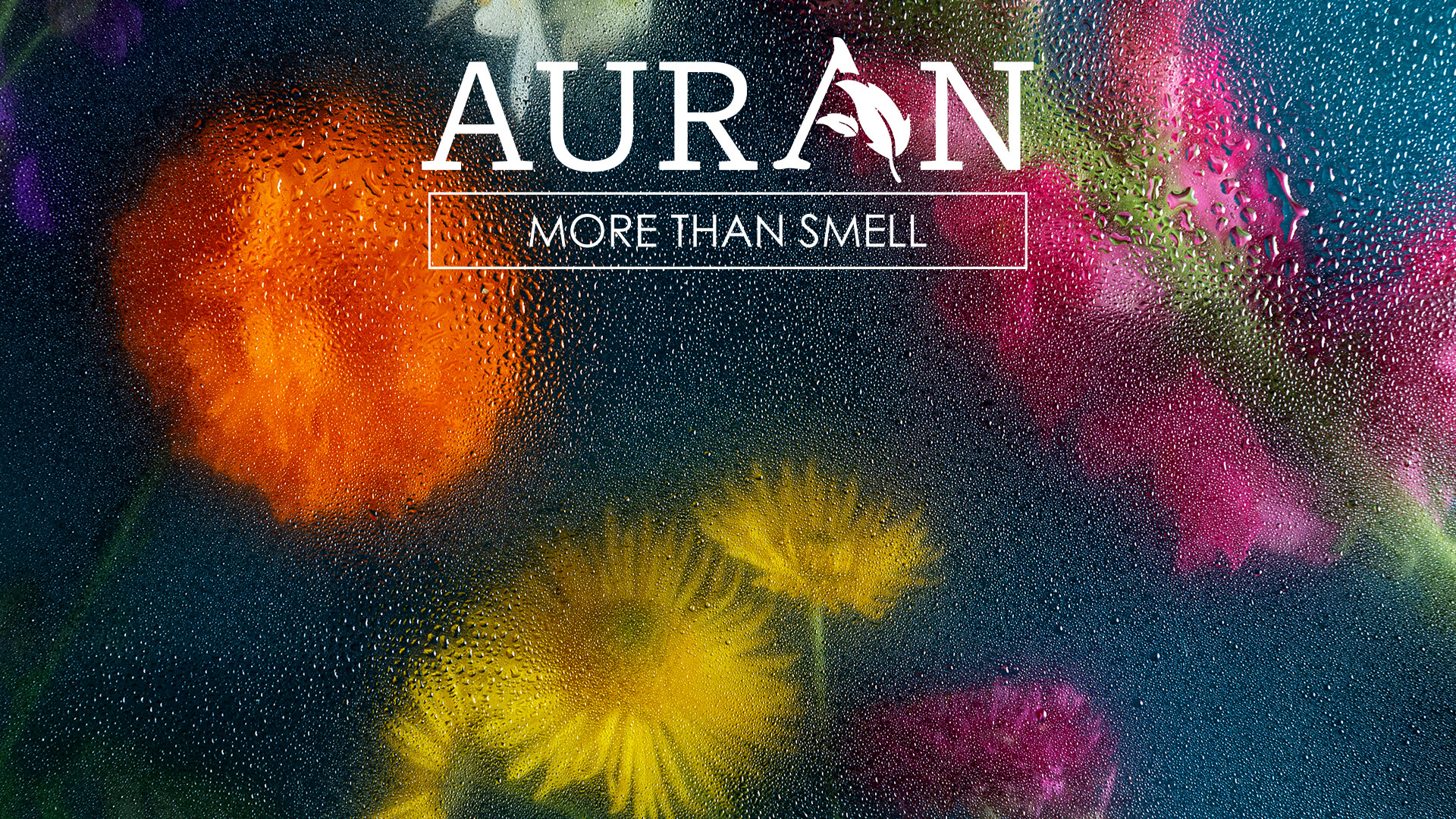 Kokusu ile Büyüleyen Esans Çeşitleri