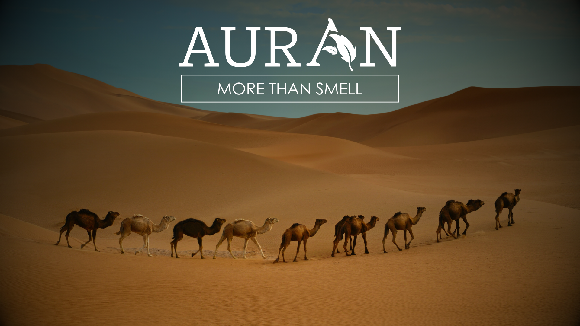 Çölün Kokusu Gerçekte Nasıldır?