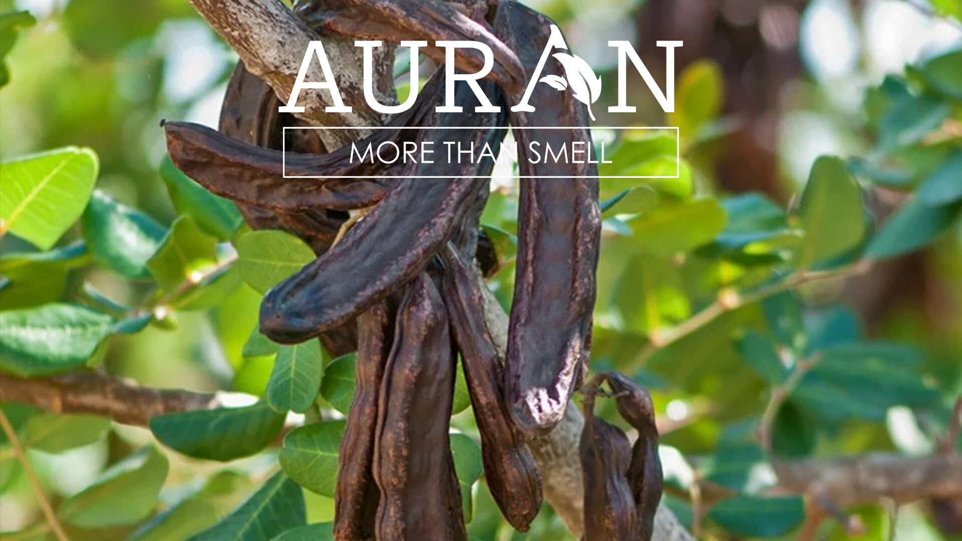 Flowy Food Doğal Keçiboynuzu Özü