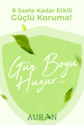 Air Protective Doğal Aromatik Ortam Ve Hava Koruyucu Bitkisel Sprey Doğal Oda Spreyi 250 ml - 2