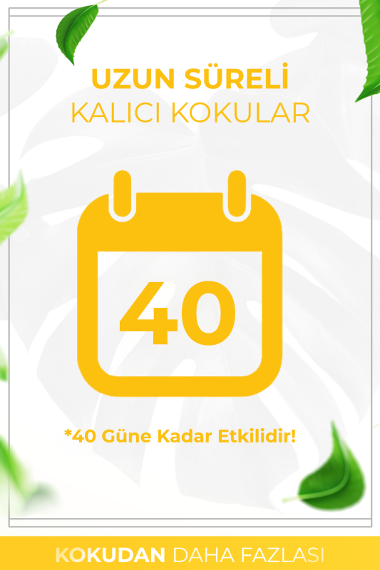 Amber Çubuklu Oda Kokusu Bambu Kokusu Kare Şişe Amber Reed Diffuser 100ml - 4