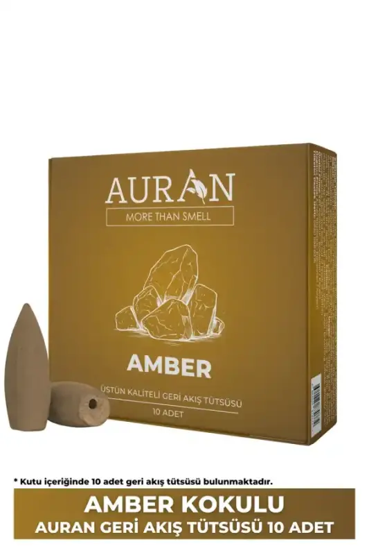 Auran Amber Kokulu Geri Akış Tütsüsü konik Tütsü Amber Backflow Incense Cones 10 Adet - 2