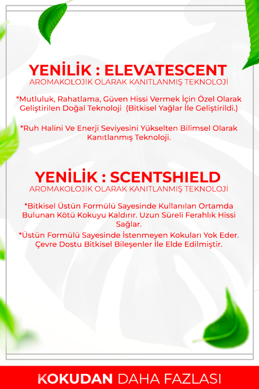 Amber Romantik Çubuklu Oda Kokusu Bambu Kokusu Amber Romantic Reed Diffuser 50ml - 6