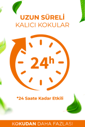 Amber Romantik Parfümlü Oda ve Çamaşır Spreyi Ortam ve Kumaş Kokusu Amber Romantic Room Spray 250ml - 3