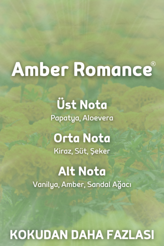 Auran Amber Romantik Yedek Çubuklu Oda Ve Ortam Kokusu Esansı Yedek Dolum Şişe Amber Romantic 250ml - 2