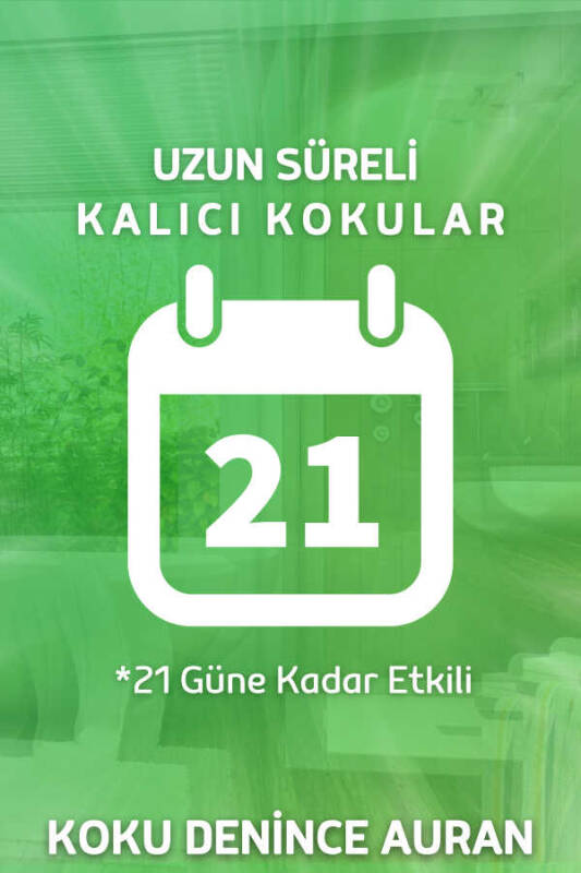 Bahar Esintisi Çubuklu Oda Kokusu Bambu Kokusu Spring Breeze Reed Diffuser 50ml - 4