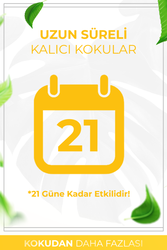Beyaz Gül Çubuklu Oda Kokusu Bambu Kokusu White Rose Reed Diffuser 50ml - 4
