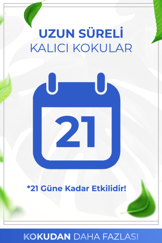 Beyaz Sabun Çubuklu Oda Kokusu Bambu Kokusu White Soup Reed Diffuser 50ml - 4