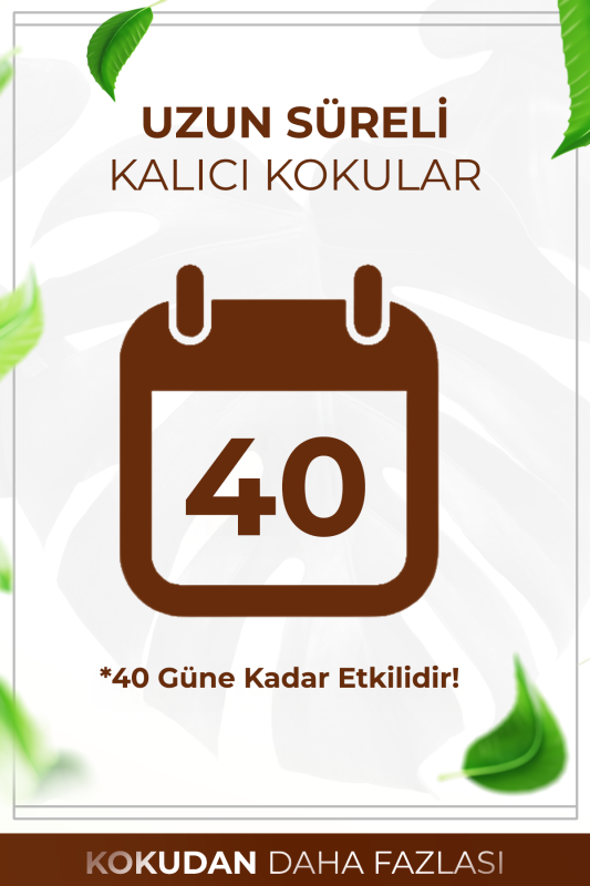 Black Vanilya Çubuklu Oda Kokusu Bambu Kokusu Kare Şişe Black Vanilla Reed Diffuser 100ml - 5