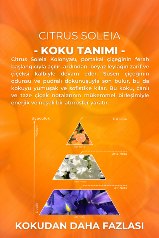 Citrus Soleia Cam Şişe 80 Derece Kolonya Premium Eau de Cologne 33ml - 5