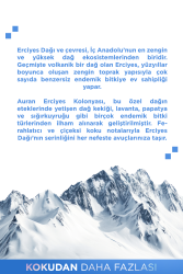 Erciyes Kolonyası, Cam Şişe 80 Derece Ferahlatıcı ve Serinletici Kolonya Premium Cologne 250ml - 2