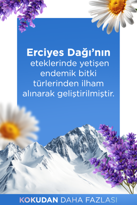 Erciyes Kolonyası Sprey 70 Derece Ferahlatıcı ve Serinletici Kolonya Premium Cologne 100ml - 3