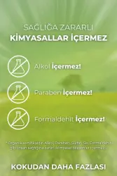 Auran Favori Set Esansiyel Uçucu Yağ Buhurdanlık Yağı Hava Nemlendirici Aroma Difüzörü Kokusu Esans 6x - 4