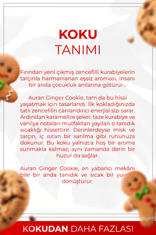 Ginger Cookie Çubuklu Oda Kokusu Bambu Ortam Kokusu Zencefilli Kurabiye Kokulu Reed Diffuser 50ml - 2
