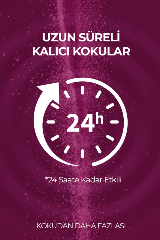 İris Pudra Parfümlü Oda Ve Çamaşır Spreyi Ortam Ve Kumaş Kokusu Iris Poudre Room Spray 250ml - 3
