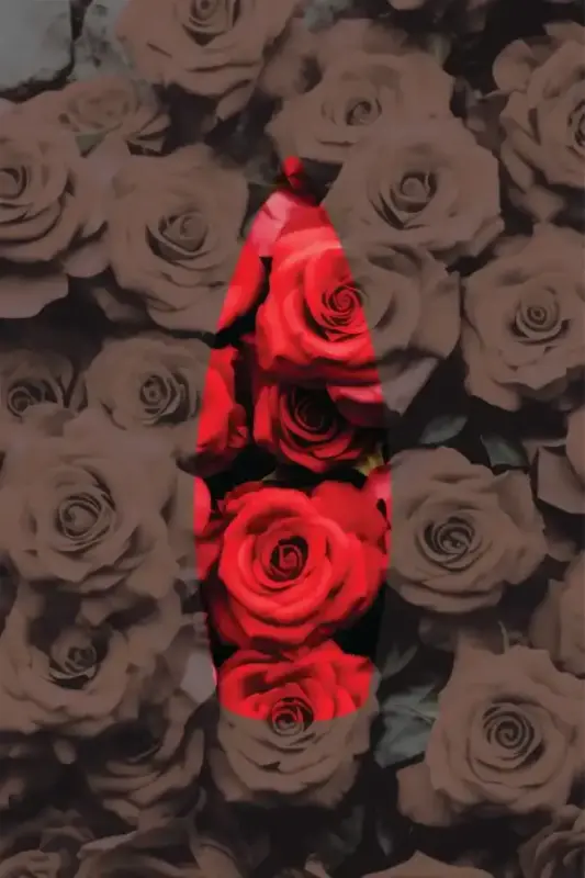 Auran Gül Kokulu Geri Akış Tütsüsü konik Tütsü Rose Backflow Incense Cones 10 Adet - 3