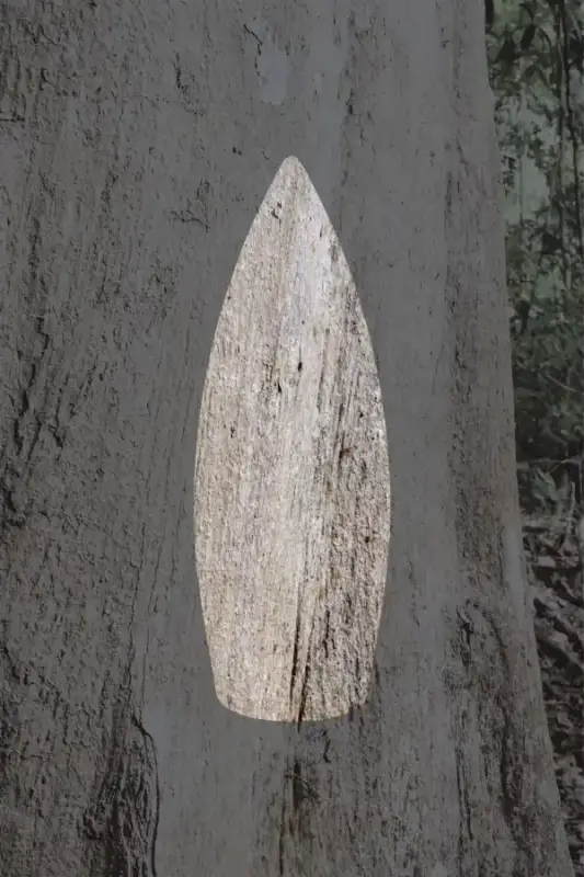 Auran Agar Ağacı Kokulu Geri Akış Tütsüsü konik Tütsü Agar Tree Backflow Incense Cones 10 Adet - 3