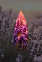 Auran Lavanta Kokulu Geri Akış Tütsüsü konik Tütsü Lavander Backflow Incense Cones 10 Adet - 19