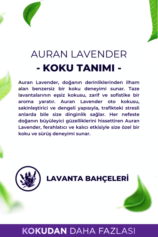 Lavender Oto Kokusu İp Askılı Araç Kokusu Uzun Süre Kalıcı Lavanta Araba Kokusu 8ml - 4
