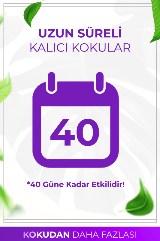 Lavanta Çubuklu Oda Kokusu Bambu Kokusu Kare Şişe Lavender Reed Diffuser 100ml - 5