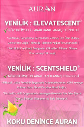 Mango & Karpuz Çubuklu Oda Kokusu Bambu Kokusu Kare Şişe Mango & Watermelon Reed Diffuser 100ml - 7