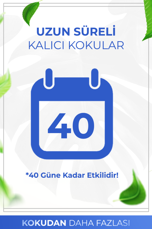 Okyanus Çubuklu Oda Kokusu Bambu Kokusu Kare Şişe Ocean Reed Diffuser 100ml - 5