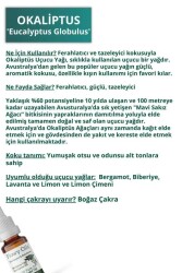 Okaliptus Uçucu Yağı %100 Distilasyon Yağ, Ferahlatıcı Esinti, Zihin Canlandırıcı ve Konsantrasyon Artırıcı, Haşere Uzaklaştırıcı, Aromaterapi Eucalyptus Essential Oil (Eucalyptus Globulus) 10ml - 3