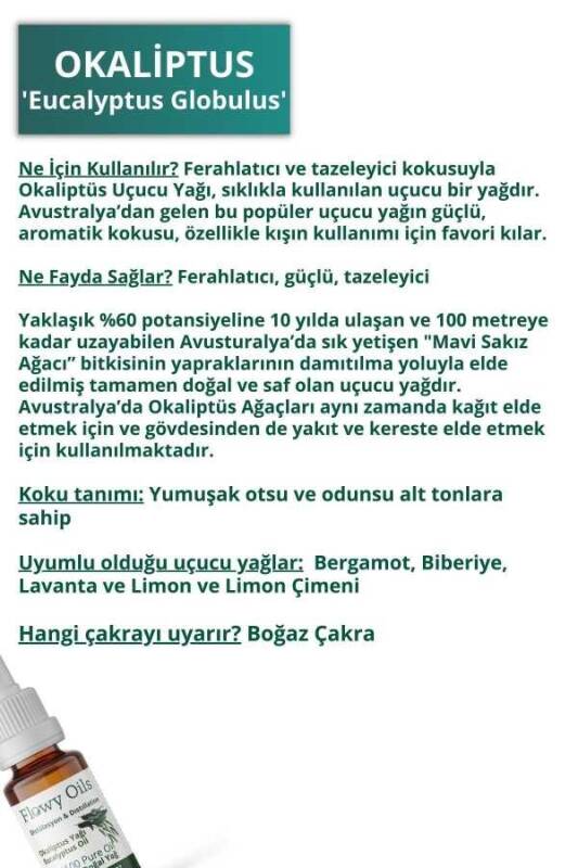 Okaliptus Uçucu Yağı %100 Distilasyon Yağ, Ferahlatıcı Esinti, Zihin Canlandırıcı ve Konsantrasyon Artırıcı, Haşere Uzaklaştırıcı, Aromaterapi Eucalyptus Essential Oil (Eucalyptus Globulus) 10ml - 3