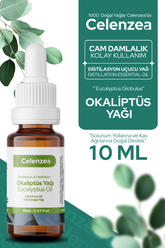 Okaliptus Uçucu Yağı %100 Distilasyon Yağ, Ferahlatıcı Esinti, Zihin Canlandırıcı ve Konsantrasyon Artırıcı, Haşere Uzaklaştırıcı, Aromaterapi Eucalyptus Essential Oil (Eucalyptus Globulus) 10ml - 1