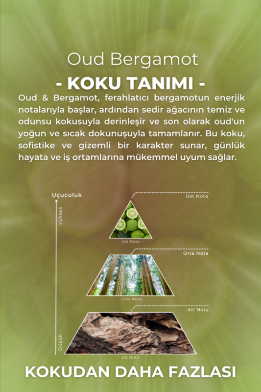Oud & Bergamot Cam Şişe 80 Derece Kolonya Premium Eau de Cologne 33ml - 5