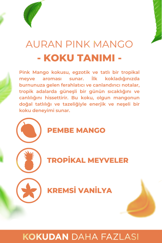 Pink Mango Oto Kokusu İp Askılı Araç Kokusu Uzun Süre Kalıcı Lavanta Araba Kokusu 8ml - 4