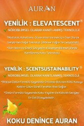 Portakal Esansiyel Uçucu Koku Yağı Ortam Kokusu Doğal Yağ Sihirli Küre Hobi Esansı 100ml - 6