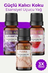 Auran Pudra, Lavanta, Amber Saf Esansiyel Uçucu Yağ Buhurdanlık Yağ Difüzör Esans Aromaterapi Orta3x 10ml - Auran