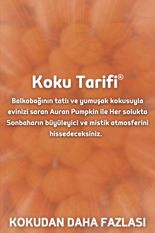 Auran Pumpkin Yedek Çubuklu Oda Ve Ortam Kokusu Esansı Yedek Dolum Balkabağı 500ml - 2