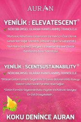 Sakız Esansiyel Uçucu Koku Yağı Ortam Kokusu Doğal Yağ Sihirli Küre Hobi Esansı 10ml - 6