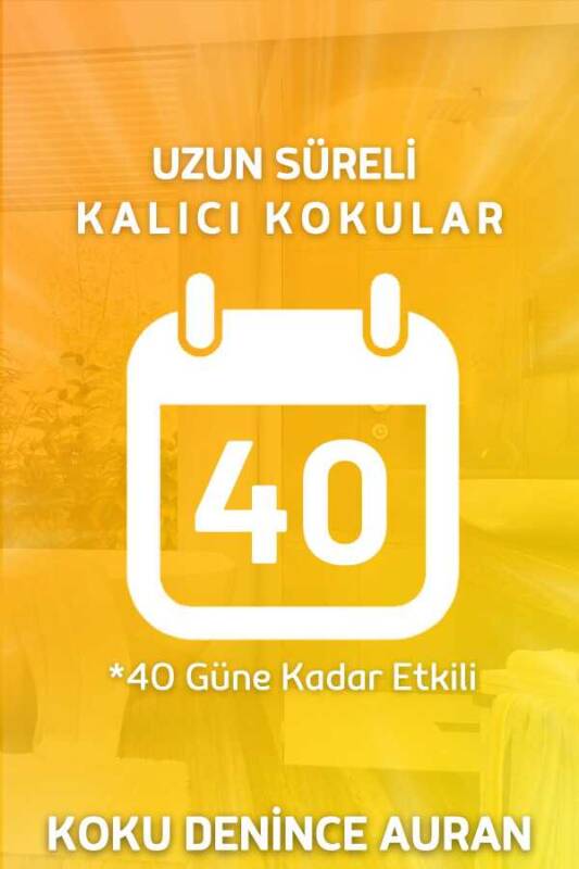 Sandal Ağacı Çubuklu Oda Kokusu Bambu Kokusu Kare Şişe Sandal Wood Reed Diffuser 100ml - 4