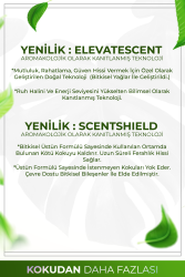 Sandal Ağacı Çubuklu Oda Kokusu Bambu Kokusu Kare Şişe Sandal Wood Reed Diffuser 100ml - 6